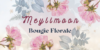 Logo-Meylimoon